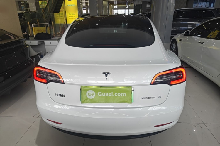 Tesla Model 3 2023 #6 Tesla Model 3 2023 car image #6