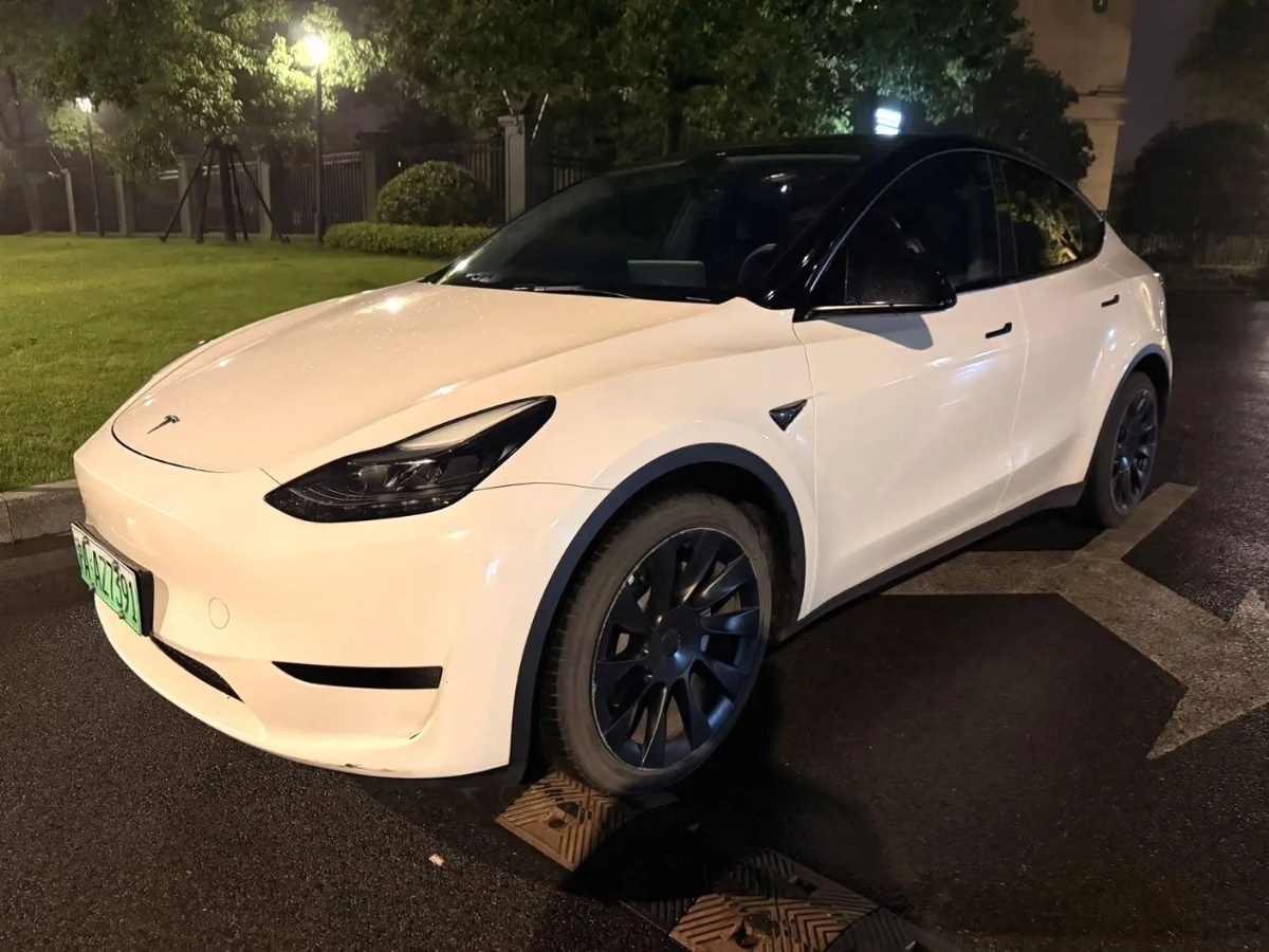 Tesla Model Y 2022 Tesla Model Y 2022 car image