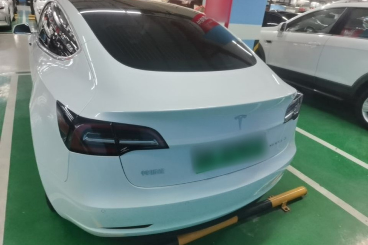 Tesla Model 3 2020 #6 Tesla Model 3 2020 car image #6
