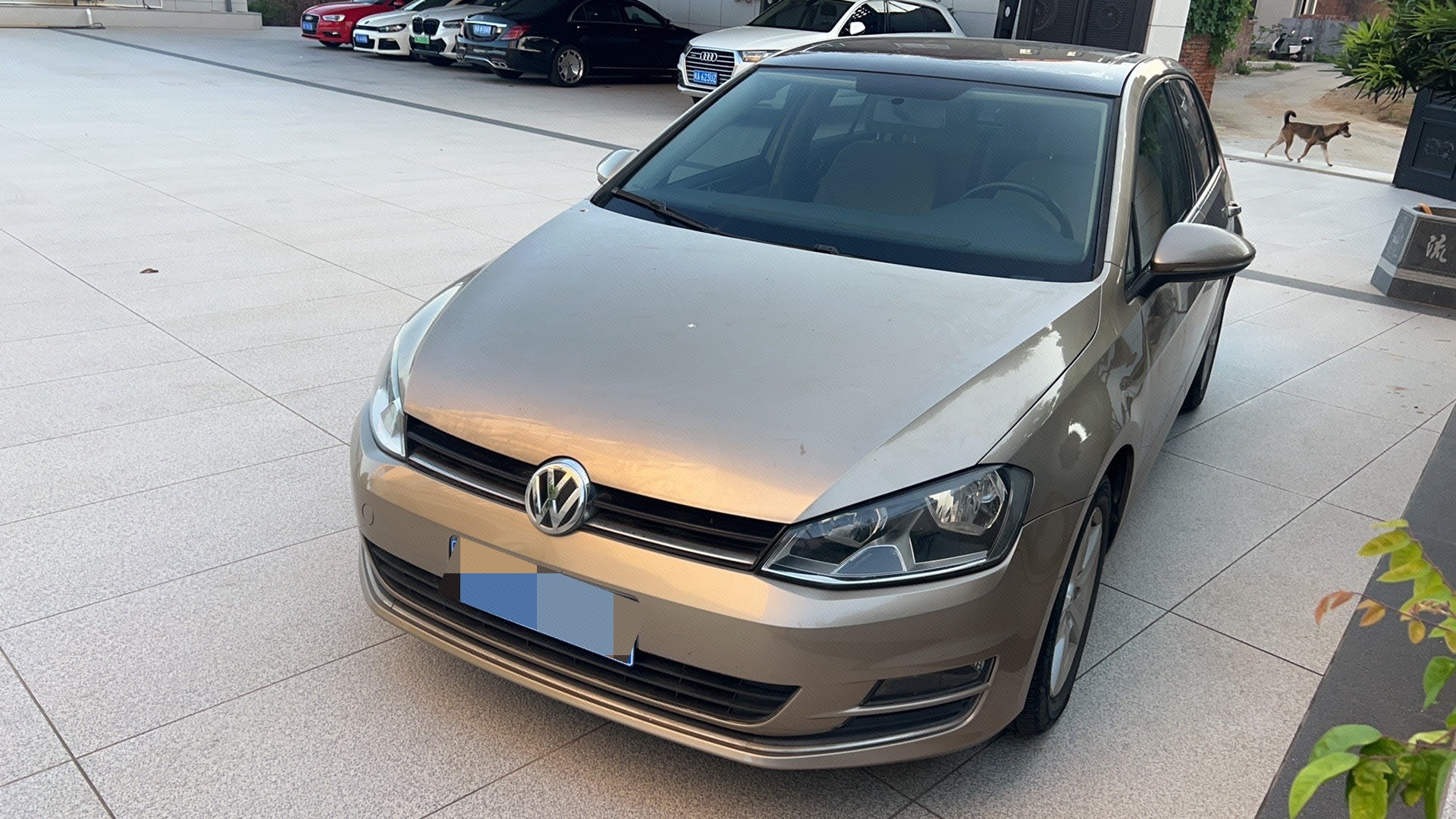 Volkswagen Golf 2014 Volkswagen Golf 2014 car image