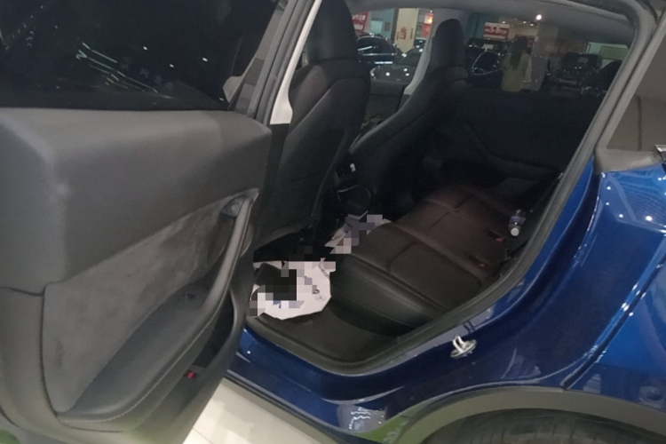 Tesla Model Y 2023 #17 Tesla Model Y 2023 car image #17