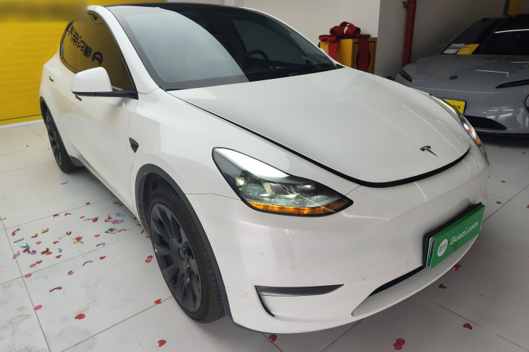 Tesla Model Y 2023 car image #6