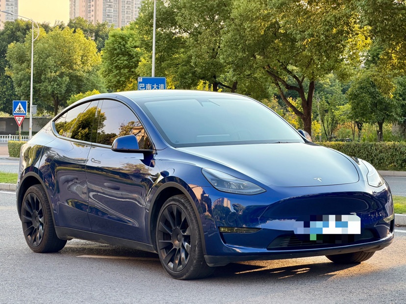 Tesla Model Y 2021 car image #3