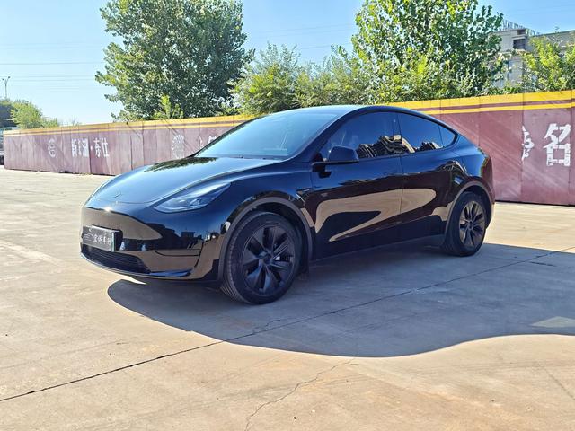 Tesla Model Y 2023 #15 Tesla Model Y 2023 car image #15