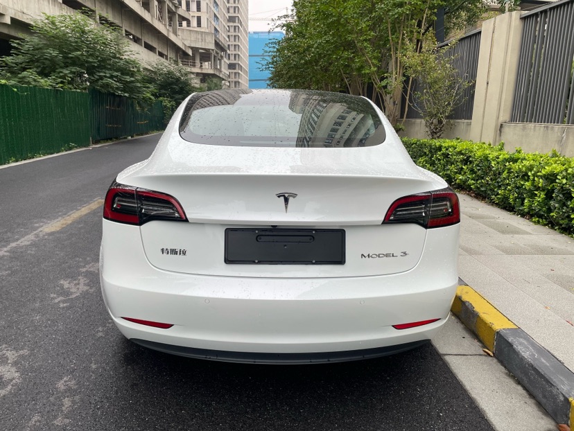Tesla Model 3 2021 #5 Tesla Model 3 2021 car image #5
