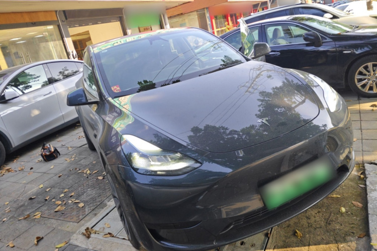 Tesla Model Y 2024 car image #4