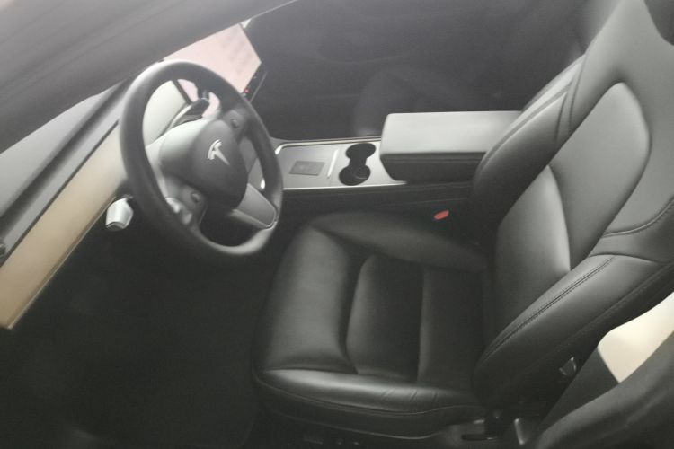 Tesla Model 3 2021 #15 Tesla Model 3 2021 car image #15