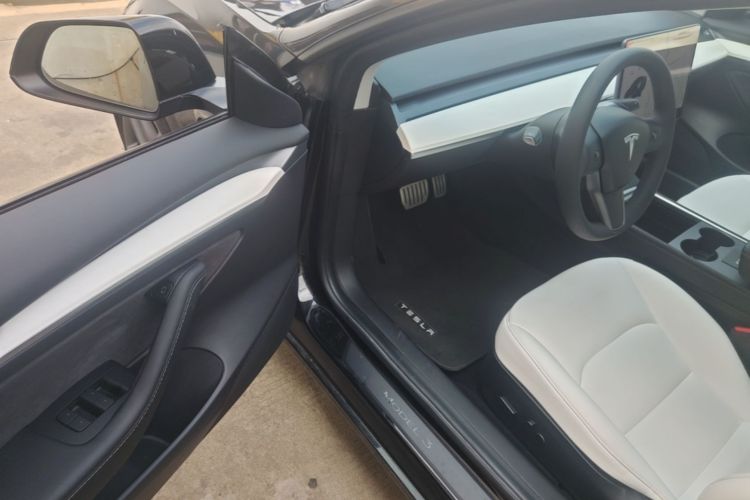 Tesla Model 3 2021 #12 Tesla Model 3 2021 car image #12