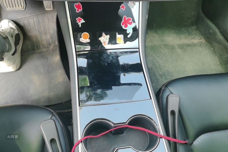 Tesla Model 3 2020 car image #16