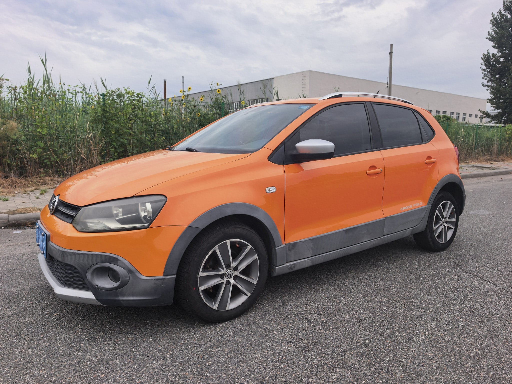 Volkswagen Polo 2013 car image 