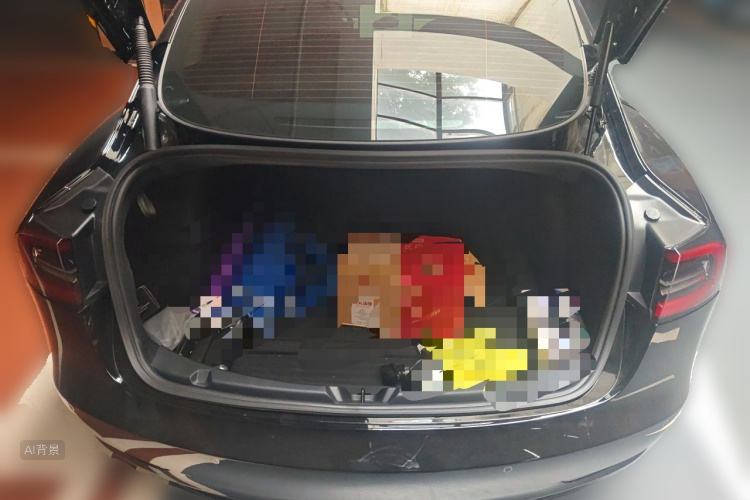 Tesla Model 3 2022 car image #21