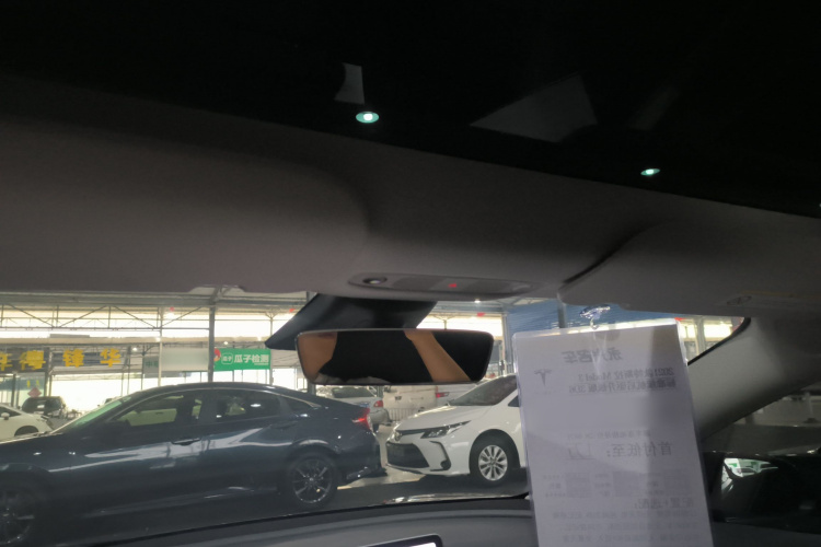 Tesla Model 3 2021 car image #18