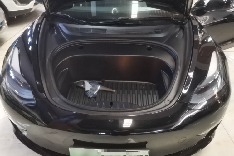 Tesla Model 3 2021 #20 Tesla Model 3 2021 car image #20