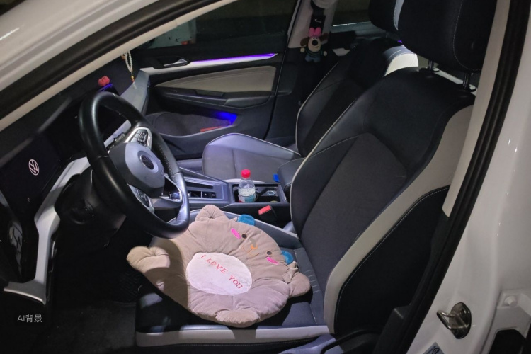 Volkswagen Golf 2022 car image #17