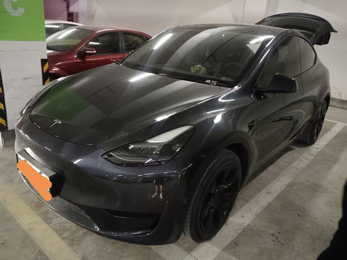 Tesla Model Y 2024 Tesla Model Y 2024 car image