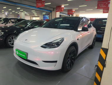 Tesla Model Y 2022 Tesla Model Y 2022 car image