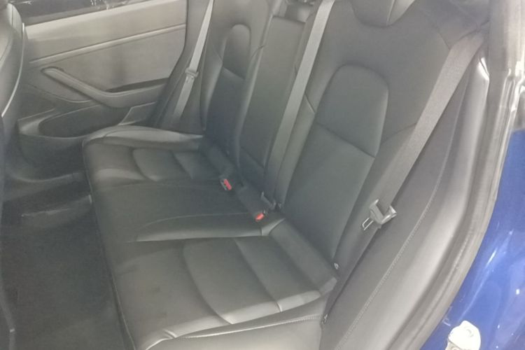 Tesla Model 3 2020 car image #17