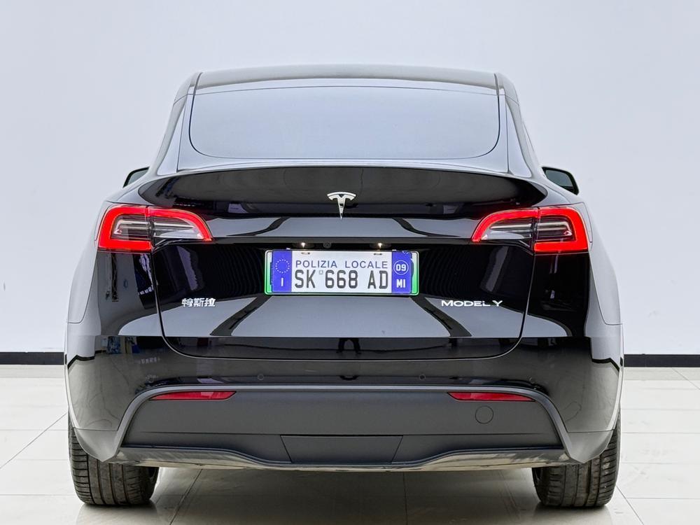 Tesla Model Y 2021 #5 Tesla Model Y 2021 car image #5