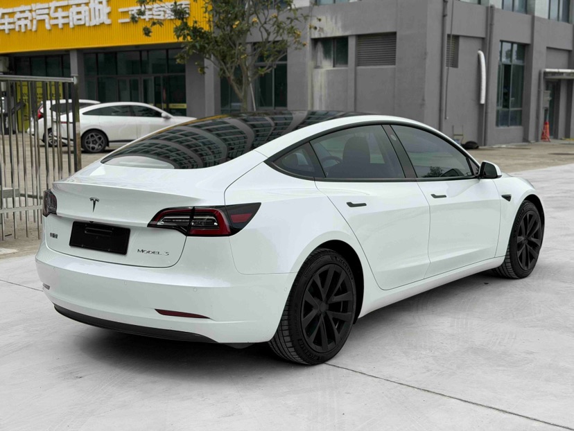Tesla Model 3 2021 #7 Tesla Model 3 2021 car image #7