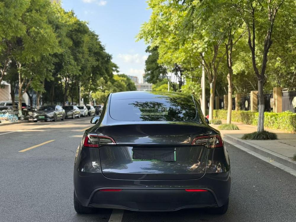 Tesla Model Y 2025 car image #4