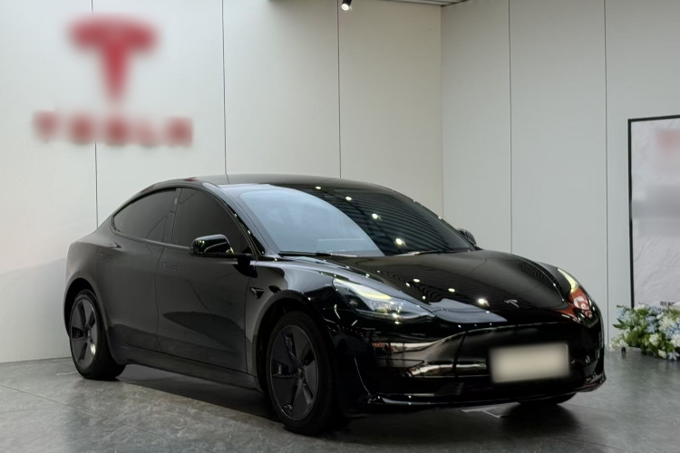 Tesla Model 3 2023 #4 Tesla Model 3 2023 car image #4