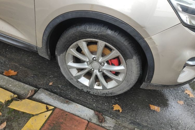GEELY Emgrand GS 2016 car image #9