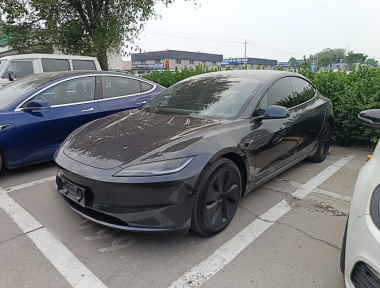 Tesla Model 3 2024 Tesla Model 3 2024 car image