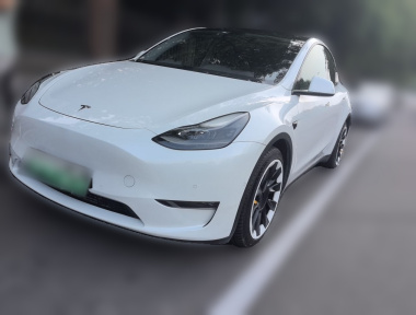 Tesla Model Y 2021 Tesla Model Y 2021 car image