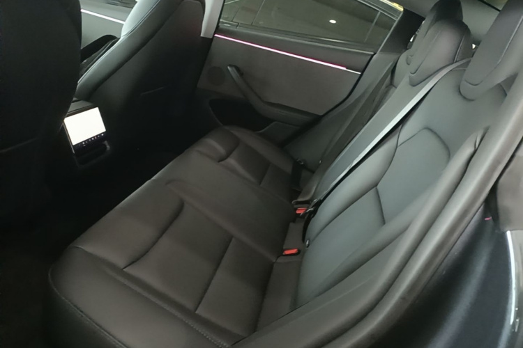 Tesla Model 3 2024 car image #13