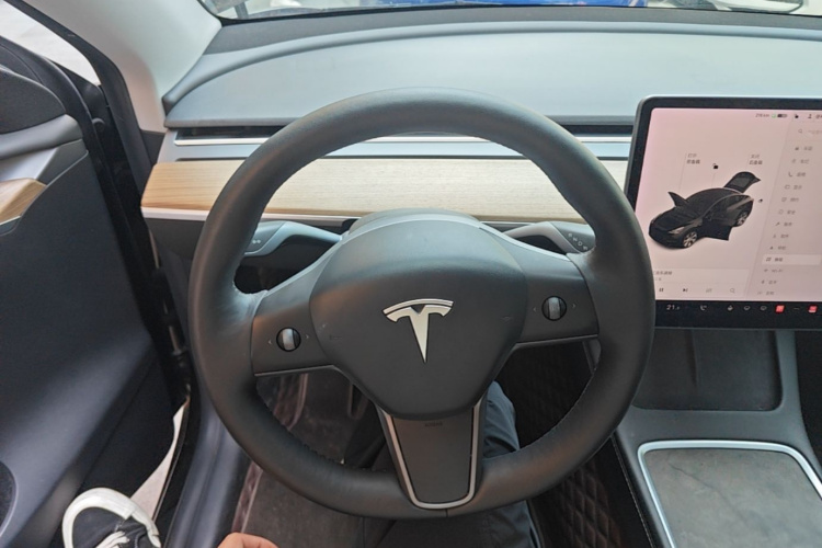 Tesla Model Y 2021 car image #11