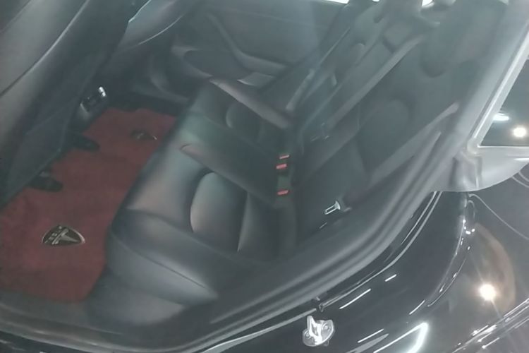 Tesla Model 3 2022 car image #17
