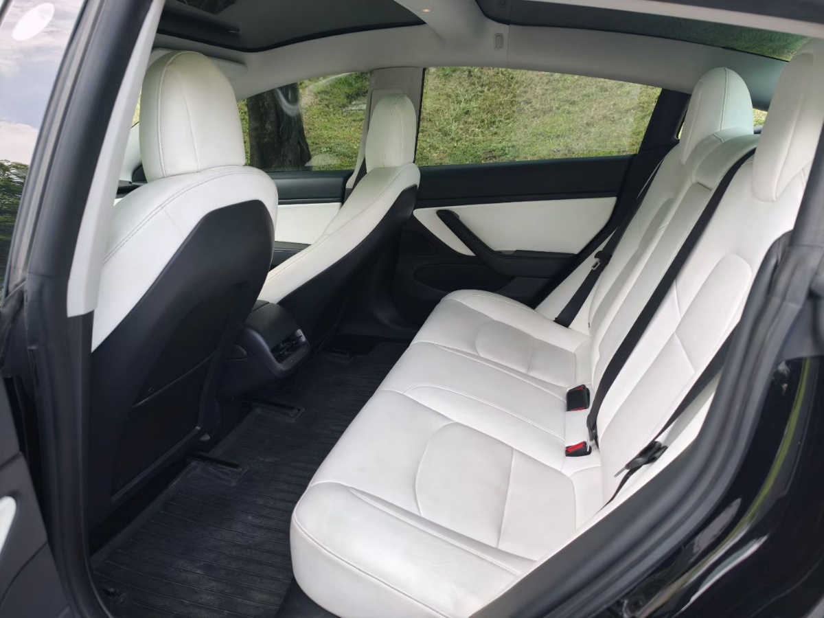 Tesla Model 3 2020 car image #3