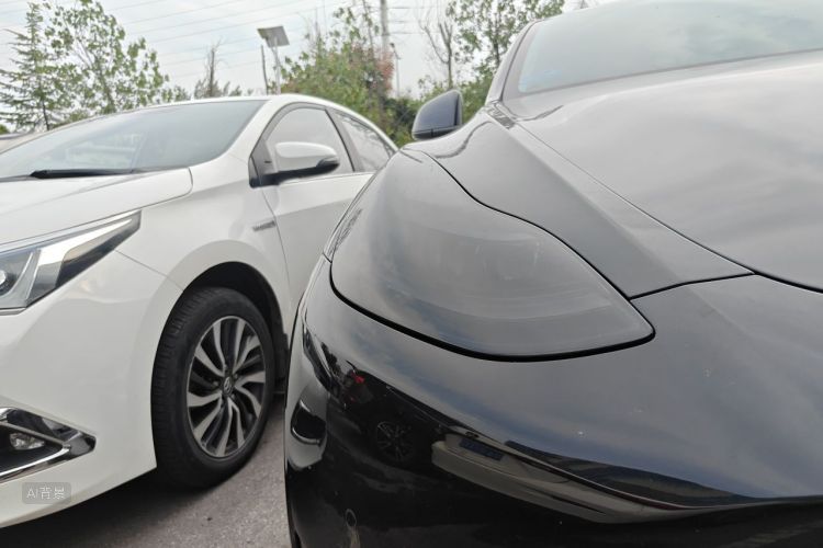 Tesla Model Y 2023 #8 Tesla Model Y 2023 car image #8