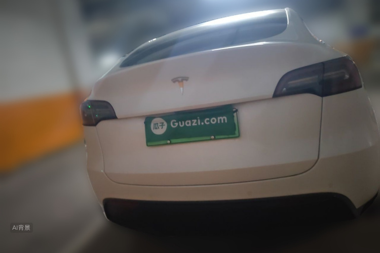 Tesla Model Y 2022 car image #6