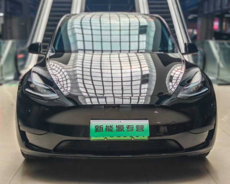 Tesla Model Y 2023 Tesla Model Y 2023 car image
