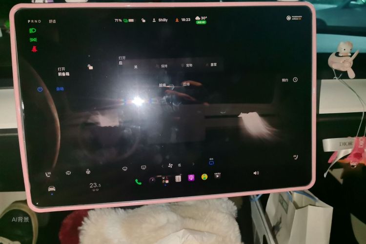 Tesla Model 3 2022 car image #15