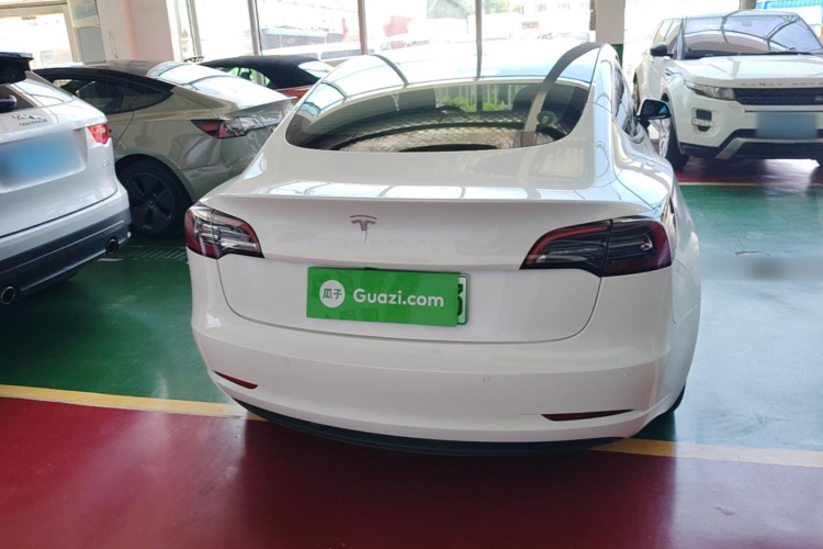 Tesla Model 3 2021 #6 Tesla Model 3 2021 car image #6