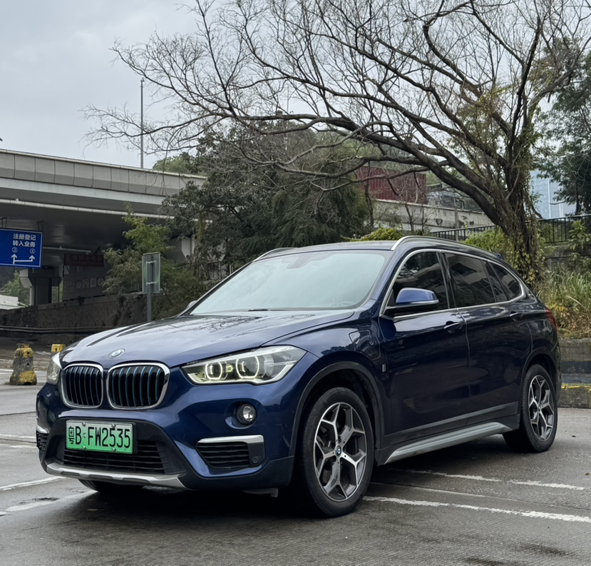 BMW X1 New Energy 2019 car image 