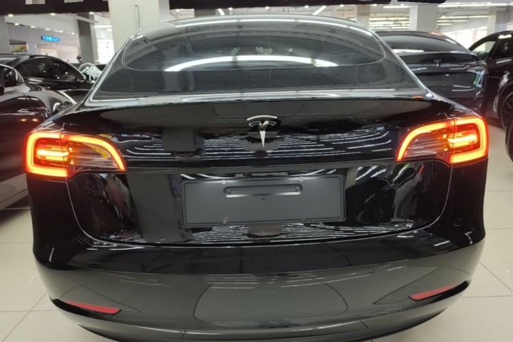 Tesla Model 3 2023 car image #6