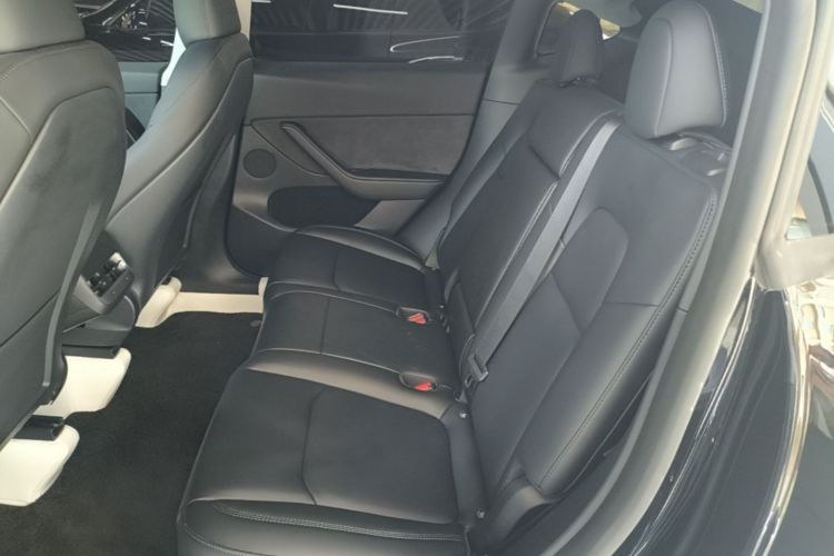 Tesla Model Y 2023 car image #17