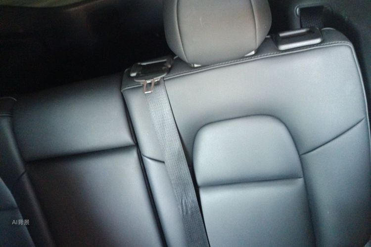 Tesla Model Y 2023 car image #19