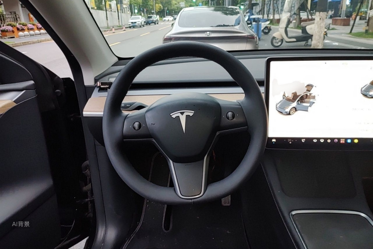 Tesla Model Y 2022 car image #12