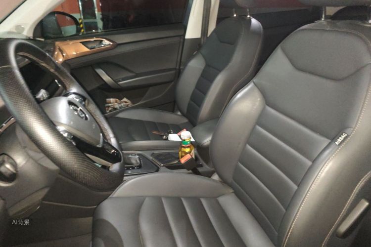 Volkswagen Tharu 2019 car image #17