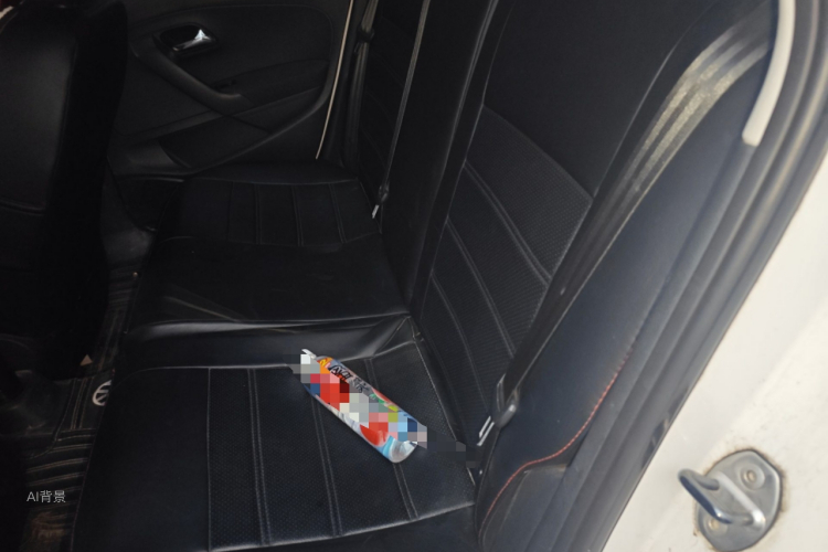 Volkswagen Polo 2017 car image #19