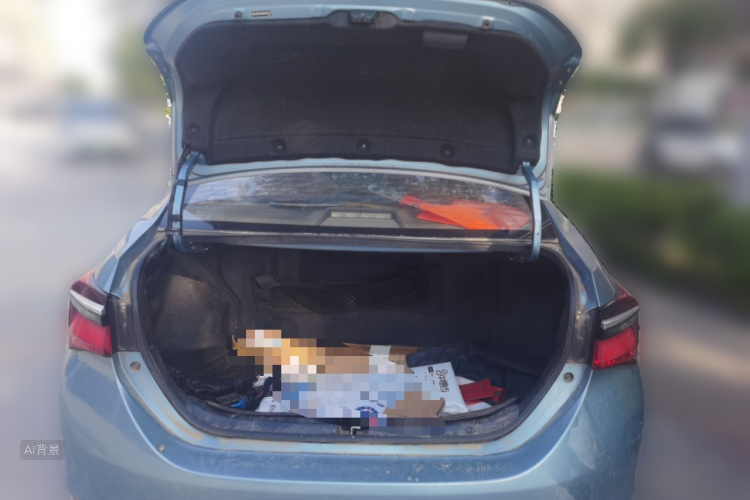 Toyota Corolla 2017 car image #21