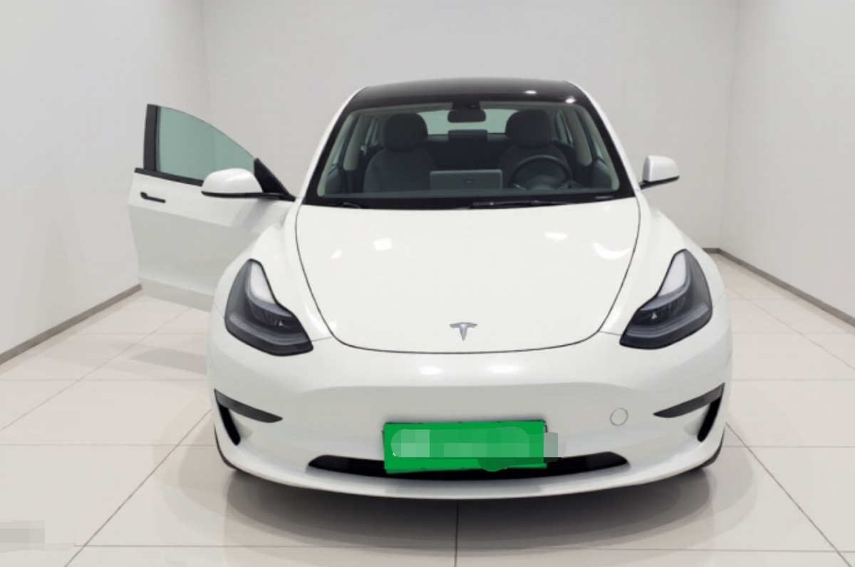 Tesla Model 3 2022 car image #2