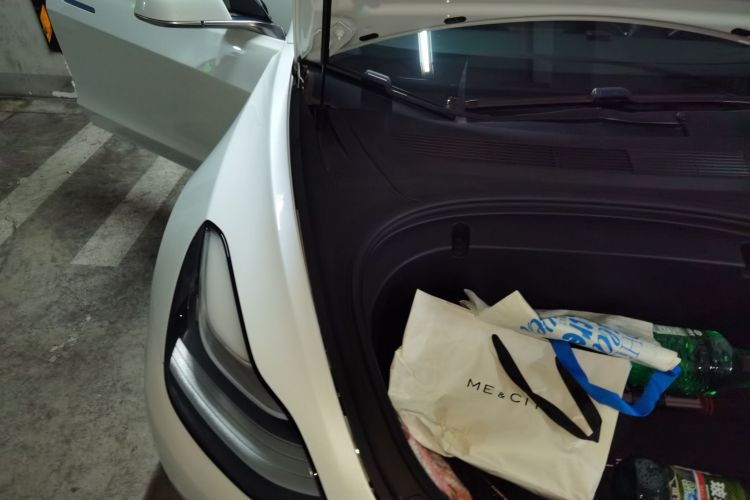 Tesla Model 3 2020 #28 Tesla Model 3 2020 car image #28