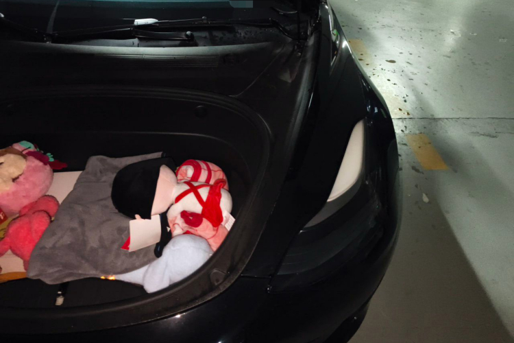 Tesla Model 3 2021 #29 Tesla Model 3 2021 car image #29