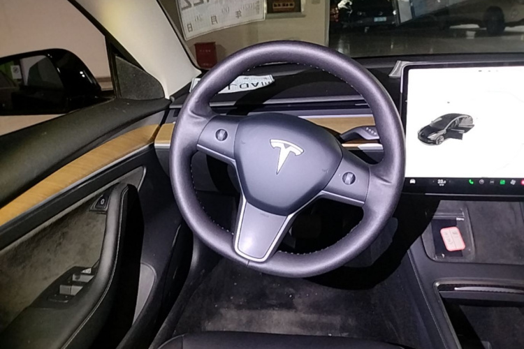 Tesla Model 3 2021 car image #12