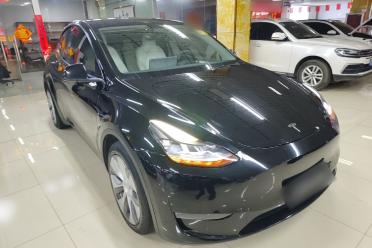 Tesla Model Y 2021 car image #6